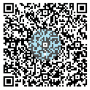 UPI QR Code