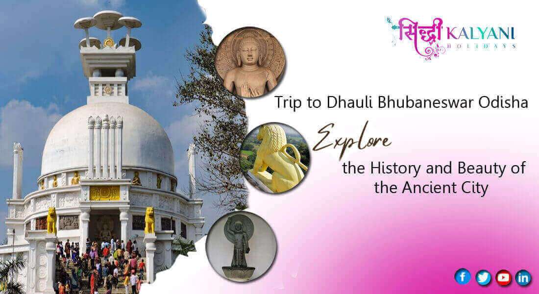 Trip to Dhauli Bhubaneswar Odisha